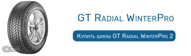 GT Radial WinterPro 2