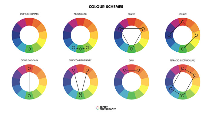 A diagram showing color theory for photography