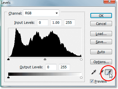 Double-clicking on the white point eyedropper in the Levels dialog box.
