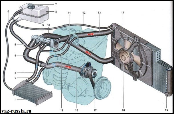 Система охлаждения автомобиля Лада Приора показана на фото